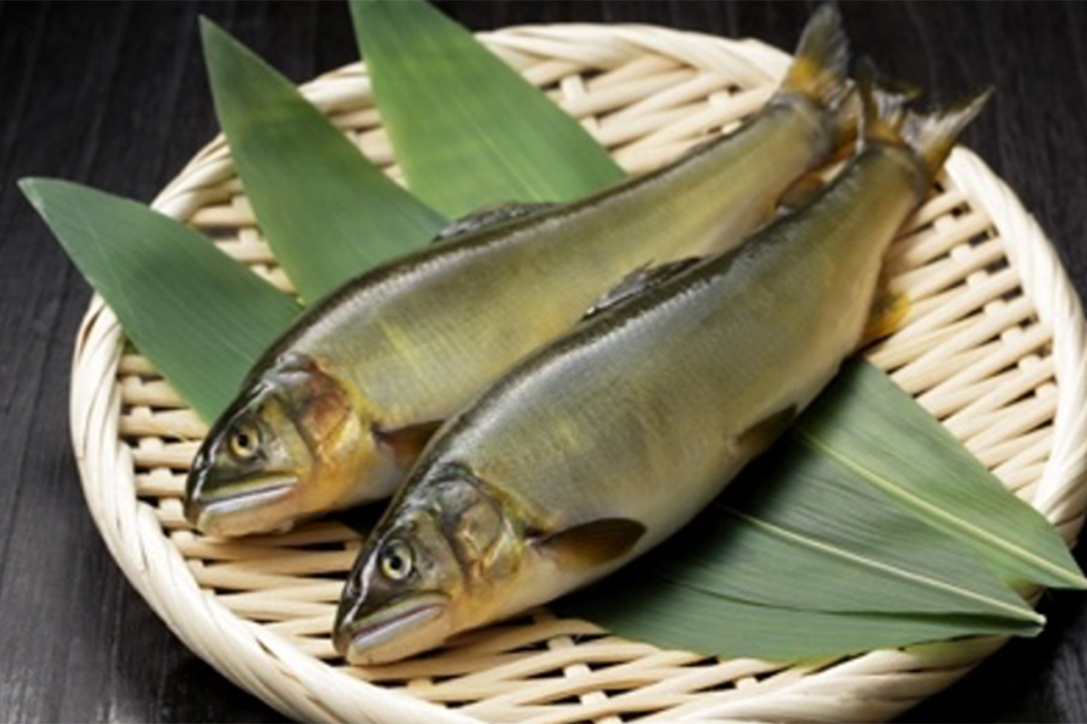 Ayu, Sweetfish (about 1kg, 8-10pcs) – Supafresh Japan