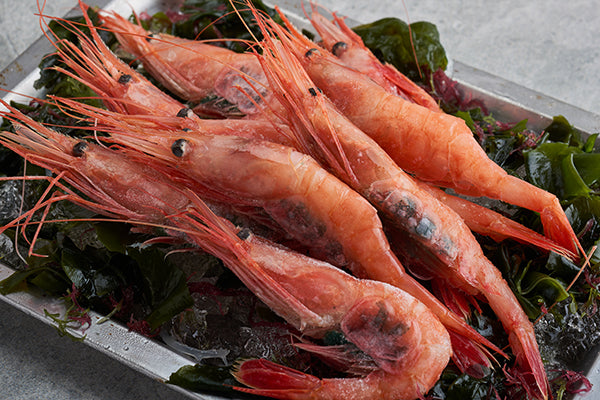 Frozen Nanban Ebi, Sweet Shrimp (1kg)