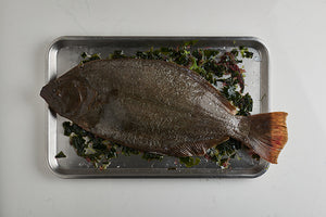 Hirame, Japanese Flounder (1.5 - 1.8kg)