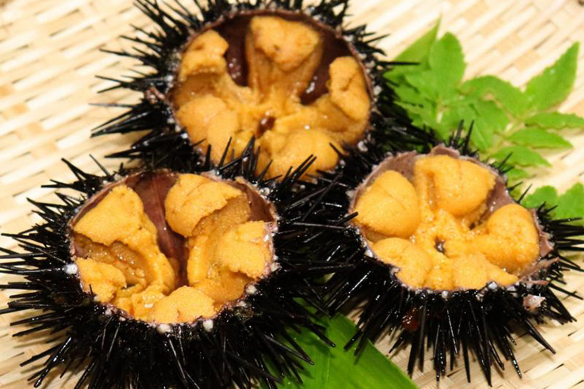Karatsuki Uni, Sea Urchin in Half-Shell (10 pcs)