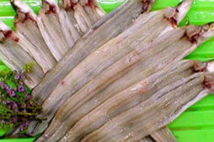 Anago, Saltwater Eel (200-250g filleted)