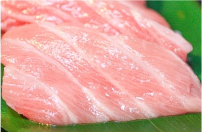 Fresh Ootoro, Bluefin Tuna (500g)